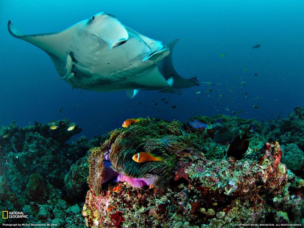 Equa Reef Maldives Hotel Addu City Luaran gambar