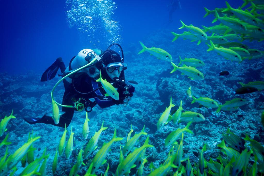 Equa Reef Maldives Hotel Addu City Luaran gambar