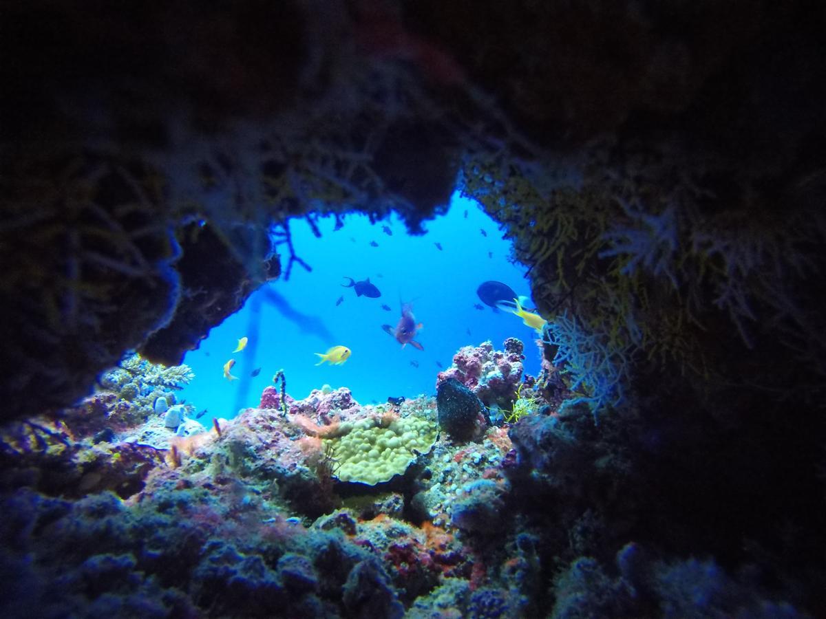 Equa Reef Maldives Hotel Addu City Luaran gambar