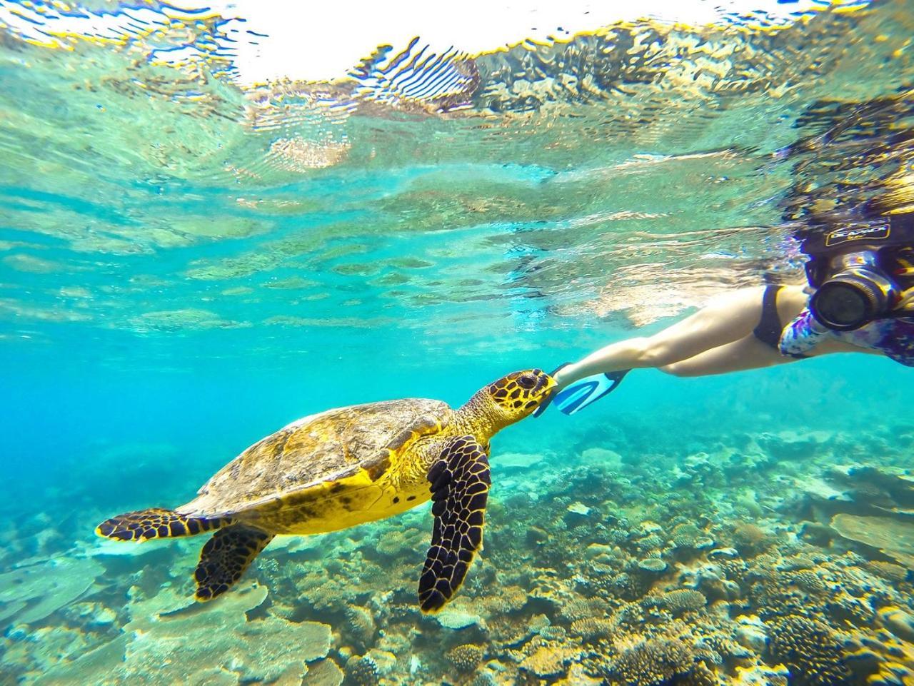 Equa Reef Maldives Hotel Addu City Luaran gambar