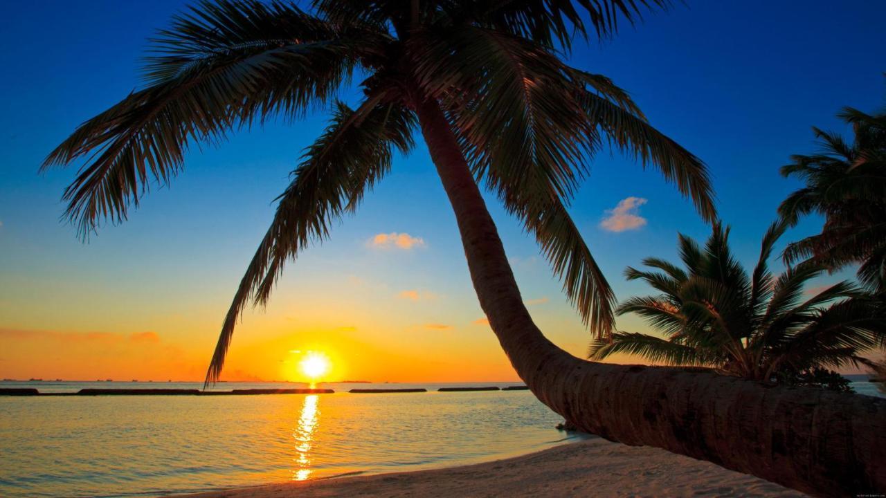 Equa Reef Maldives Hotel Addu City Luaran gambar