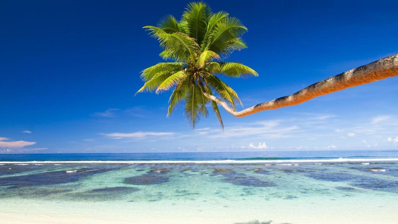 Equa Reef Maldives Hotel Addu City Luaran gambar