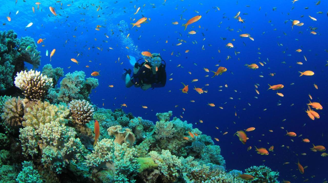 Equa Reef Maldives Hotel Addu City Luaran gambar
