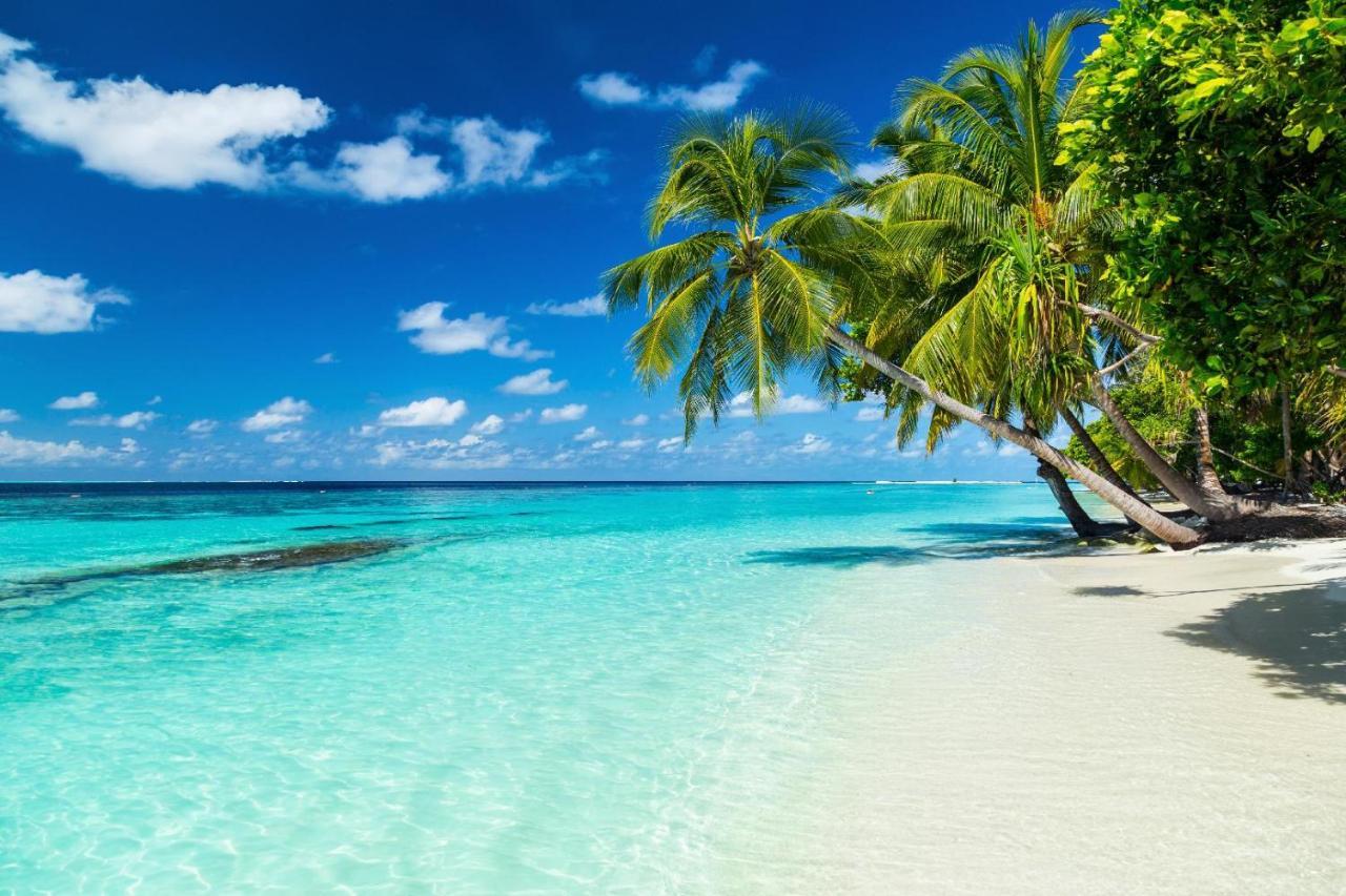 Equa Reef Maldives Hotel Addu City Luaran gambar